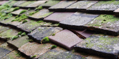 Llanfihangel Crucorney roof repair costs